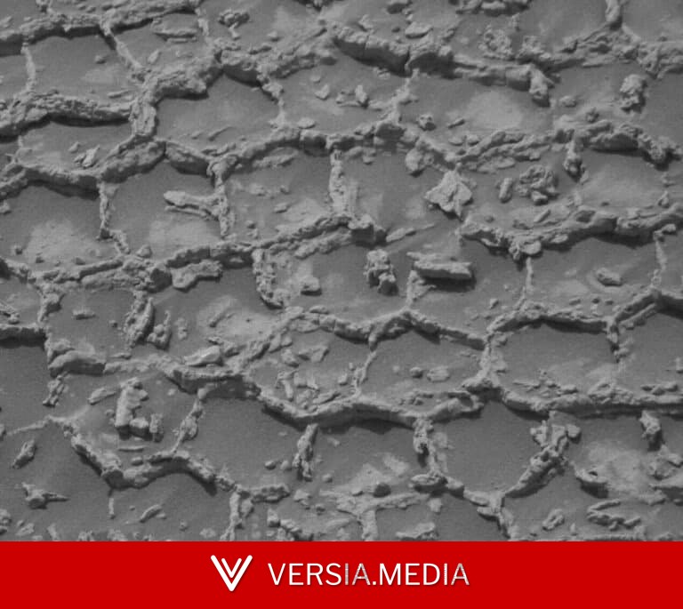 Curiosity опроверг орбитальные данные: «гладкий» участок Марса оказался покрыт полигональными структурами