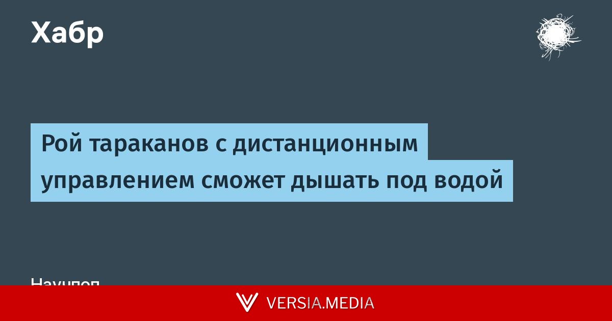 Рой тараканов с дистанционным управлением сможет дышать под водой