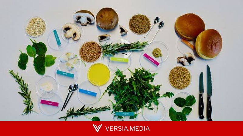ИИ нашёл рецепт идеального бургера — вкусного и гораздо полезнее обычного
