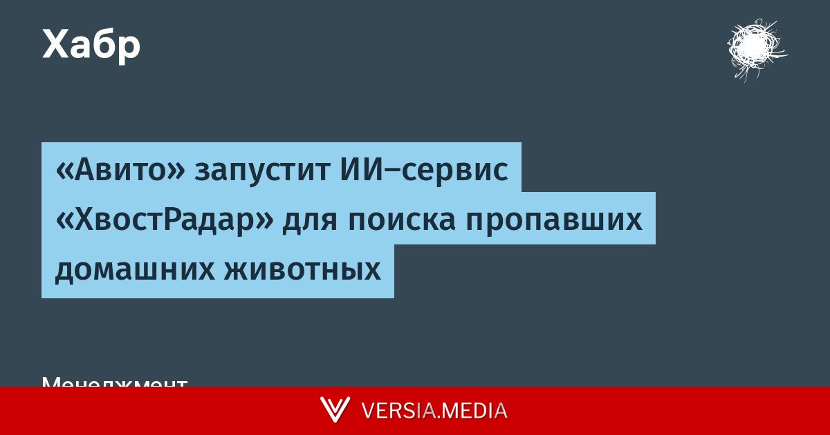 «Авито» запустит ИИ-сервис «ХвостРадар» для поиска пропавших домашних животных