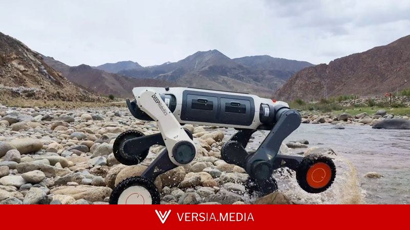 Усиленная версия китайского робопса Lynx M20S прошла по горным склонам в 30-градусный мороз