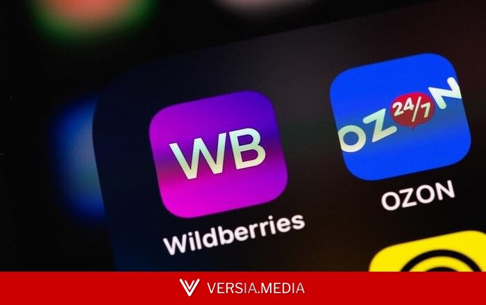 Власти утвердили массовые проверки товаров на Wildberries, Ozon и «Яндекс Маркете»